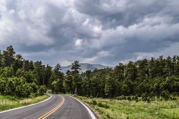 Gray Asphalt Road in Middle of Trees