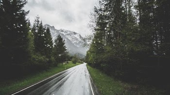 gray asphalt road surrounded by trees during daytime