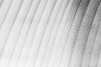 Gray banana leaf patterned background | Free  illustration - 2348089