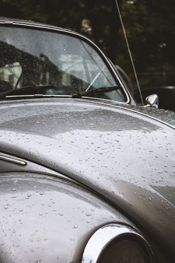 gray beetle car hood