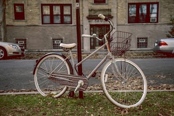 gray bicycle on top grass and near road