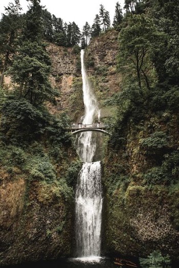 gray bridge in the middle of falls