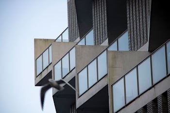 gray building during daytime