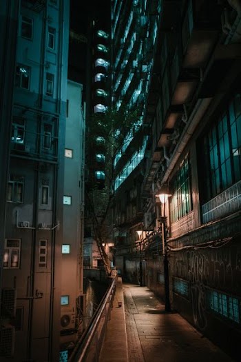 gray buildings during nigh time