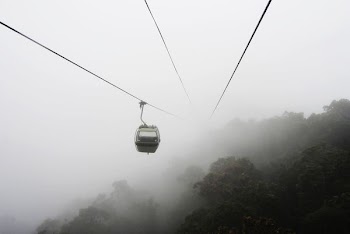 gray cable car over trees near mist