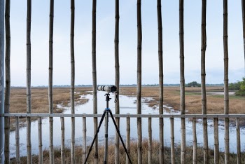 Gray Camera Near Fence