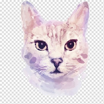 Gray cat head illustration, Cat Kitten Watercolor painting Illustration, Cat hand painted transparent background PNG clipart