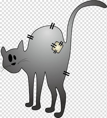 Gray cat transparent background PNG clipart
