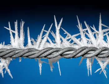 Gray Chain
