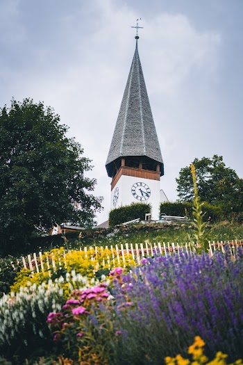 Gray Church Surrounded by Flowers