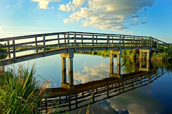 Gray Concrete Base Wooden Footbridge Between Green Grass during Daytime