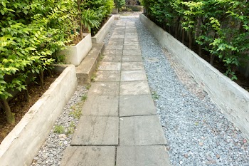 Gray Concrete Blocks and Green Trees