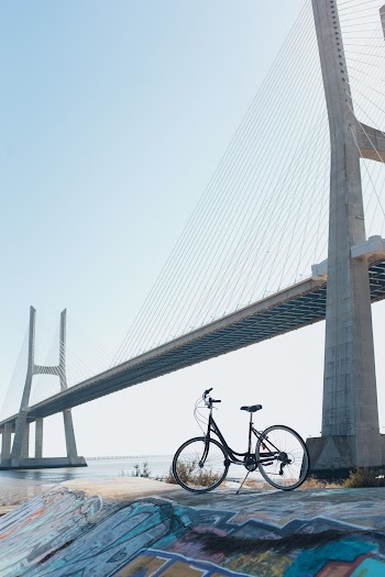 Gray Concrete bridge