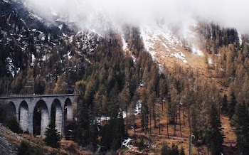 gray concrete bridge leading to tunnel under mountain