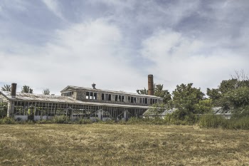 Gray Concrete Building Surrounded by Trees