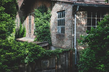 Gray Concrete House Near Green Trees