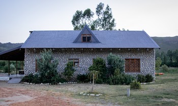 Gray Concrete House Surrounded with Trees