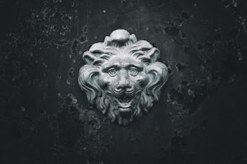gray concrete lion head decor