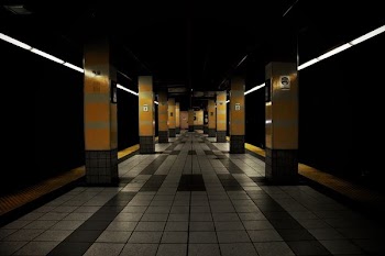 gray concrete pathway