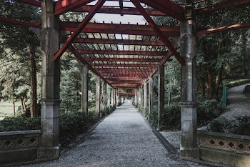Gray Concrete Pathway