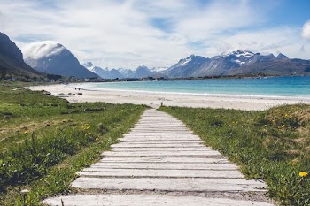 gray concrete pathway between green grass during daytime