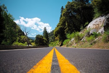gray concrete pavement near trees during daytime