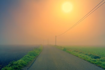 Gray Concrete Road Beside Grass