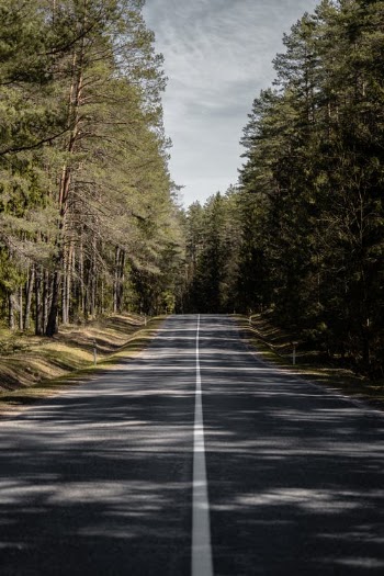 Gray Concrete Road Between Green Trees Under Gray Sky · Free Stock Photo