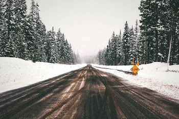 gray concrete road between snow covered pine trees
