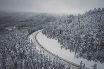 gray concrete road between trees covered with snow