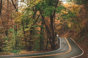 Gray Concrete Roadway Beside Green and Brown Leafed Trees
