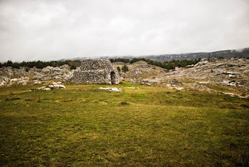 Gray Concrete Ruin
