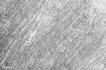 Gray concrete textured wall | Free stock vector - 895595