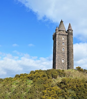 Gray Concrete Tower Surrounded by Green Plants