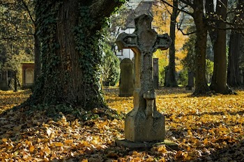 Gray Cross Statue Near Tree