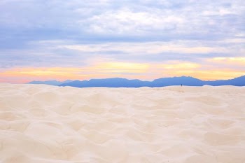 gray desert