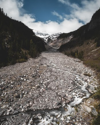 Gray Dirt Road