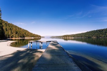 gray dock on body of water near green leafed trees