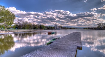 Gray Dock Surrounded With Trees