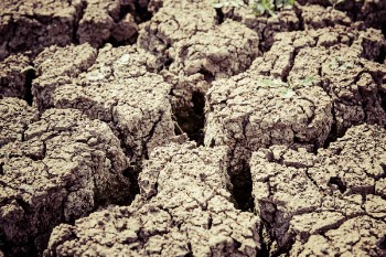 Gray Dry Soil in Macro Shot Photography