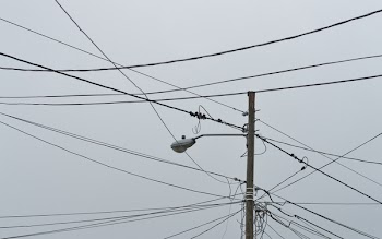 Gray Electric Post With Light