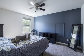 Gray Elephant Plush Toy on Bedspread Near Blue Surface
