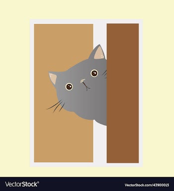 gray fat cat peeking out from behind the door