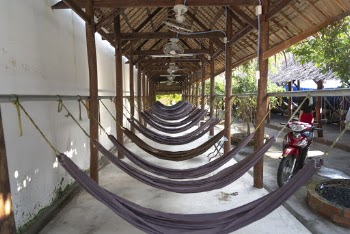 Gray Hammock Lot