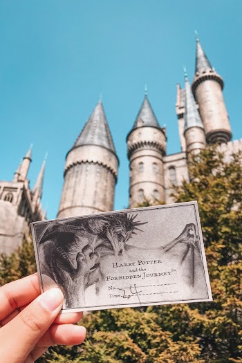 Gray Harry Potter Ticket