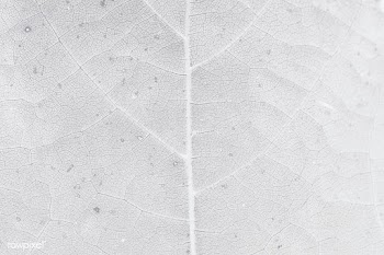 Gray leaf pattern textured backdrop | Free  illustration - 2337215
