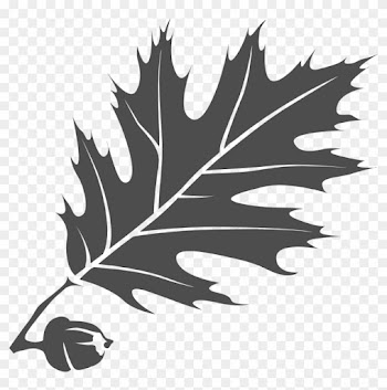 Gray Leaf - Thomas College