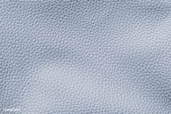 Gray leather grain texture | Free stock vector - 896288