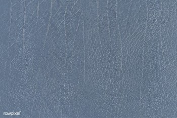 Gray leather grain texture | Free stock vector - 896750