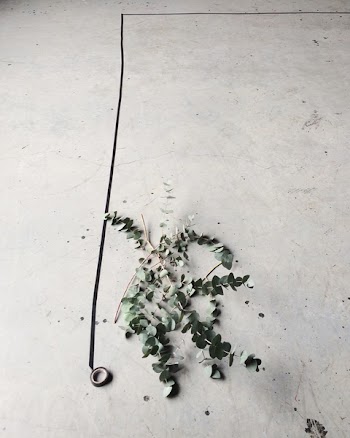Gray Leaves on White Surface